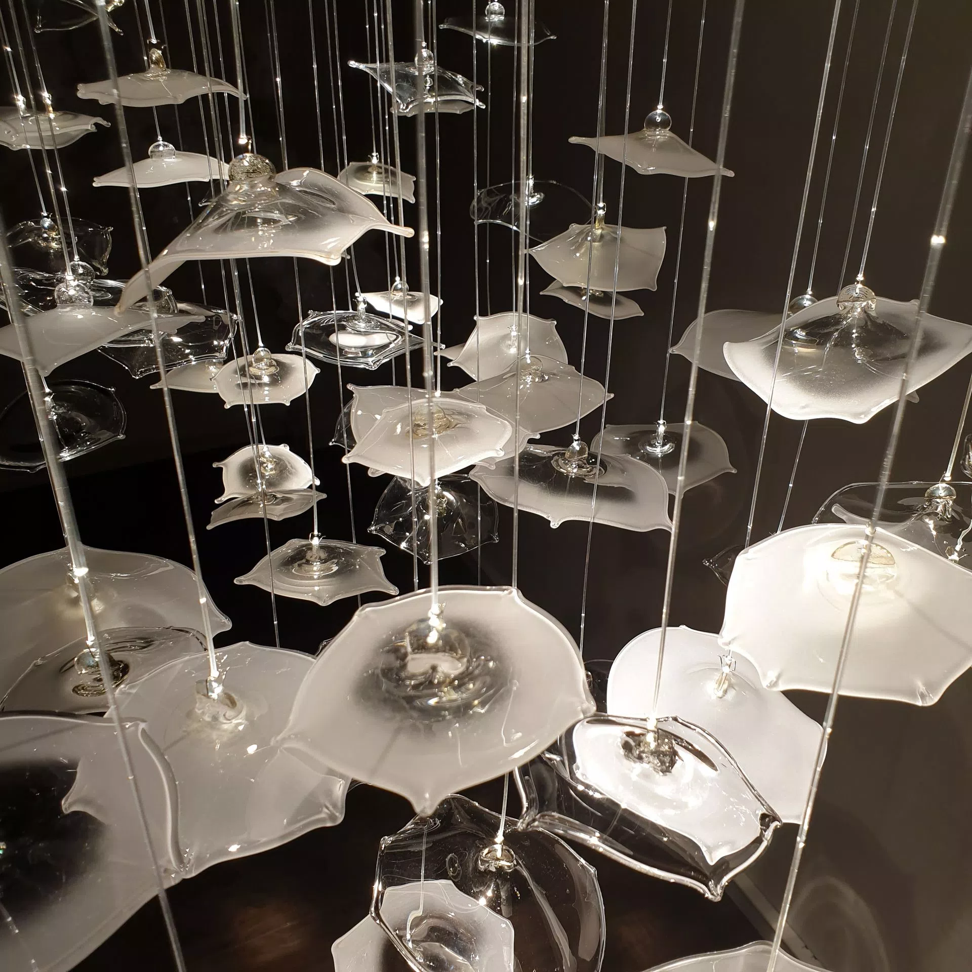 Clear and frost and white organic shape glass parts on INFINITO chandelier