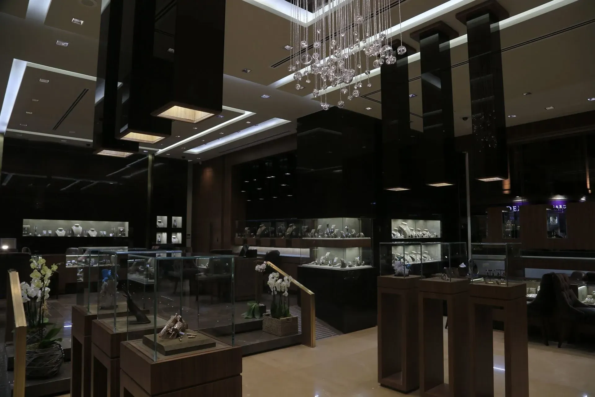 Jewelery shop luxury lighting chandelier